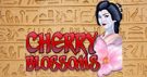 Cherry Blossoms