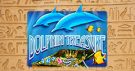 Dolphins Treasure
